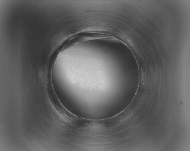 X0000072980348200607211255
