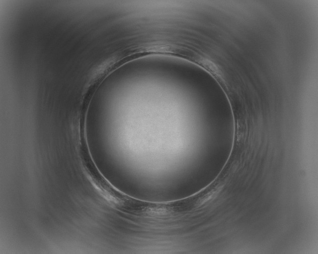 X0000072980349200607211255