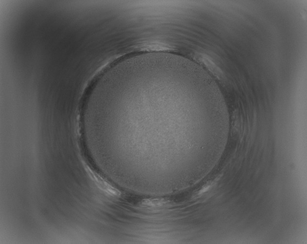 X0000072980351200607211255