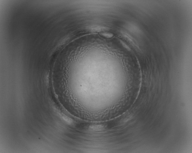 X0000072980357200607211255