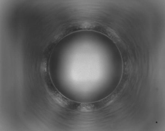 X0000072980368200607211255