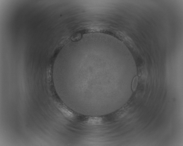 X0000072980369200607211255