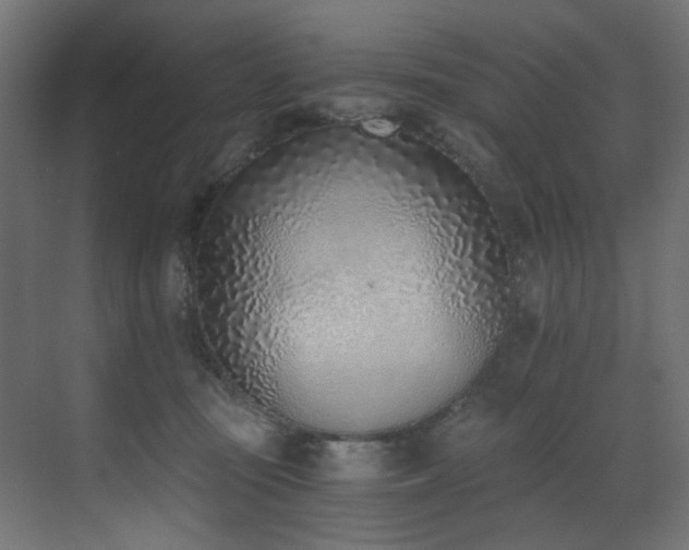 X0000072980371200607211255