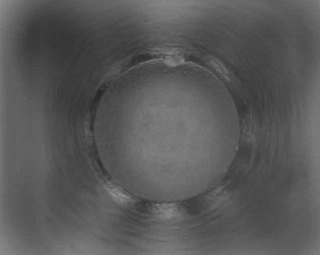 X0000072980377200607211255