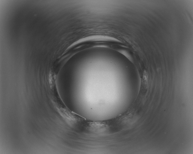X0000072980380200607211256