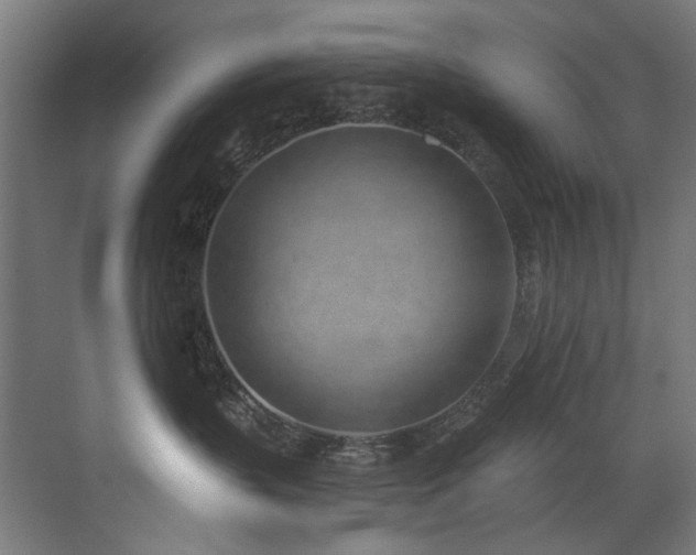 X0000072980383200607211256