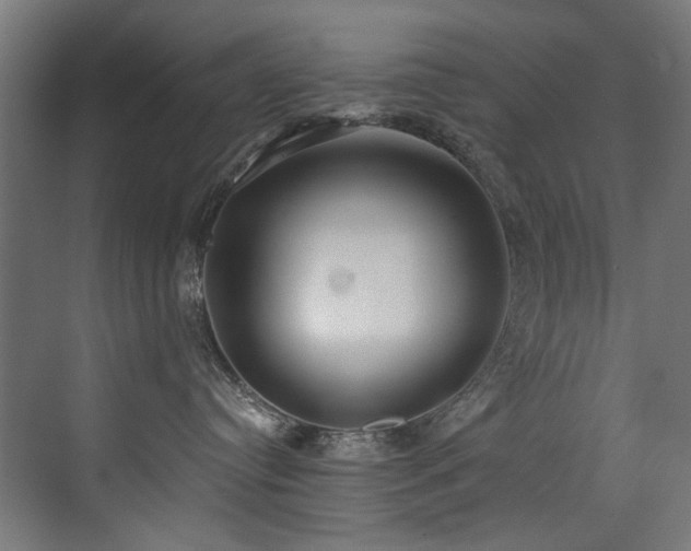 X0000072980384200607211256