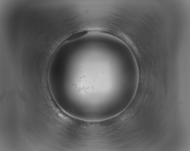 X0000072980385200607211255