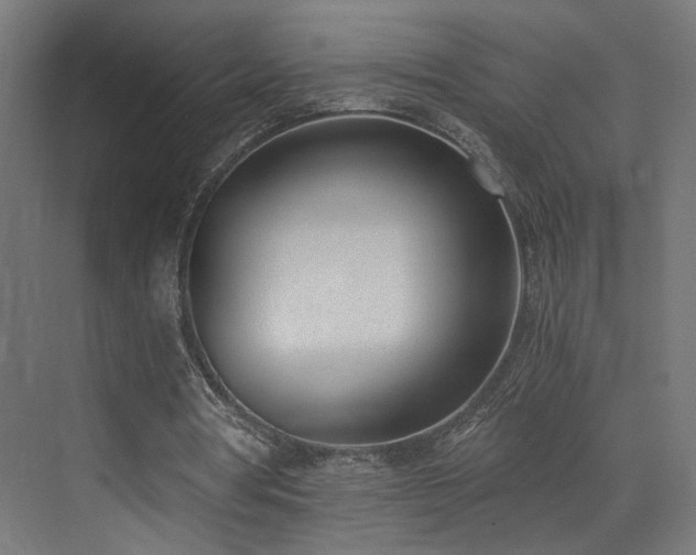 X0000072980386200607211255