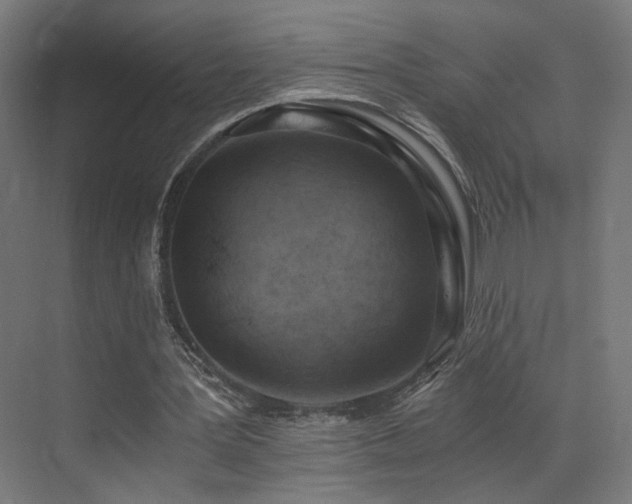 X0000072980387200607211255