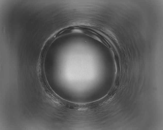 X0000072980388200607211255