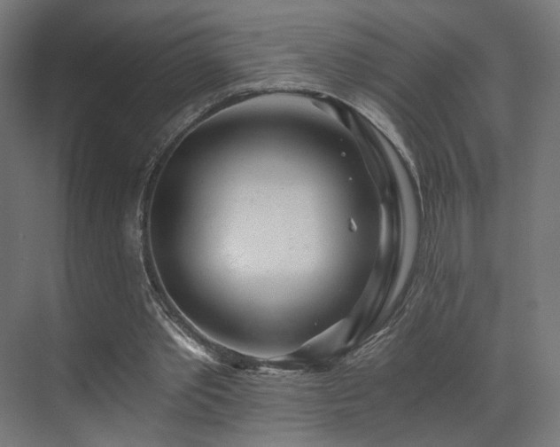 X0000072980389200607211255