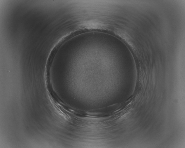 X0000072980391200607211255
