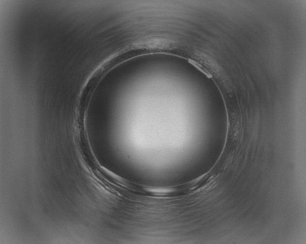 X0000072980392200607211255