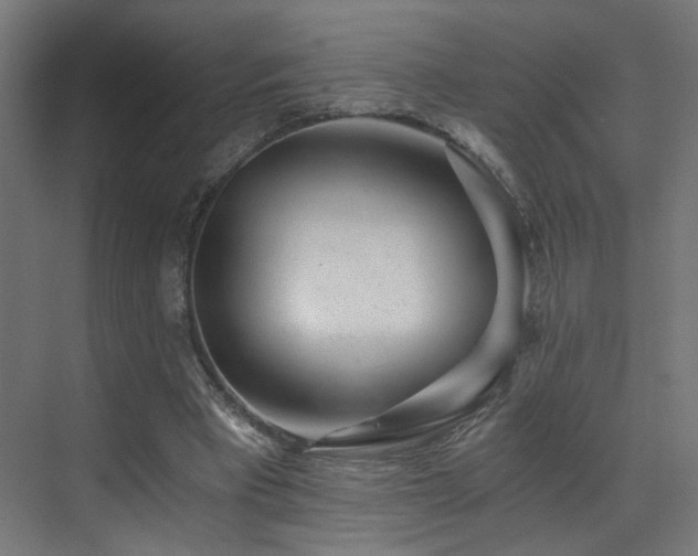 X0000072980393200607211255