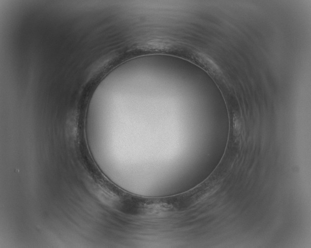 X0000072980396200607211255