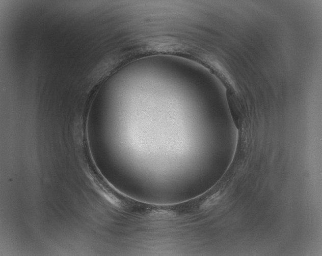 X0000072980397200607211255