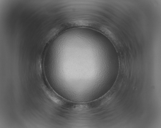 X0000072980398200607211255