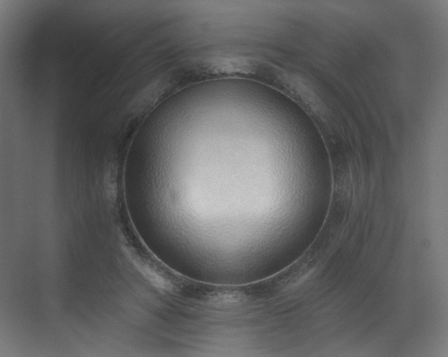 X0000072980402200607211254