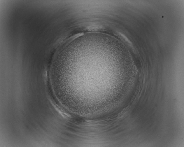 X0000072980405200607211254