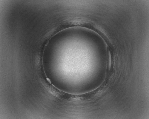 X0000072980407200607211254