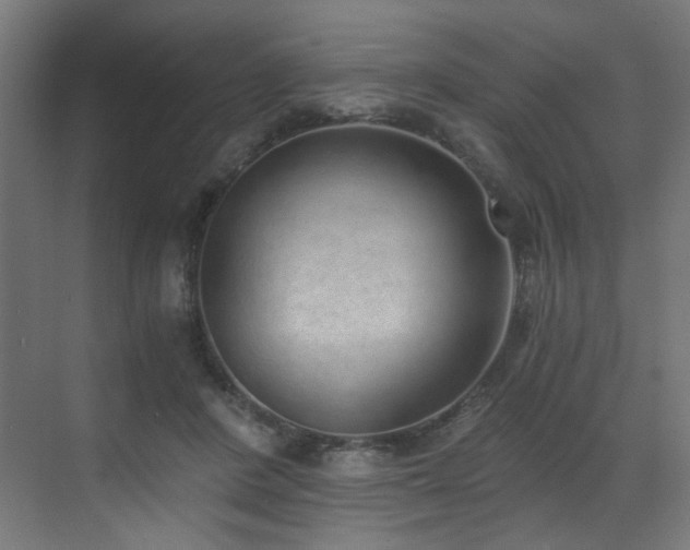 X0000072980408200607211254