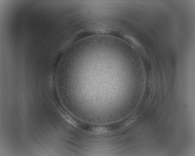 X0000072980409200607211254