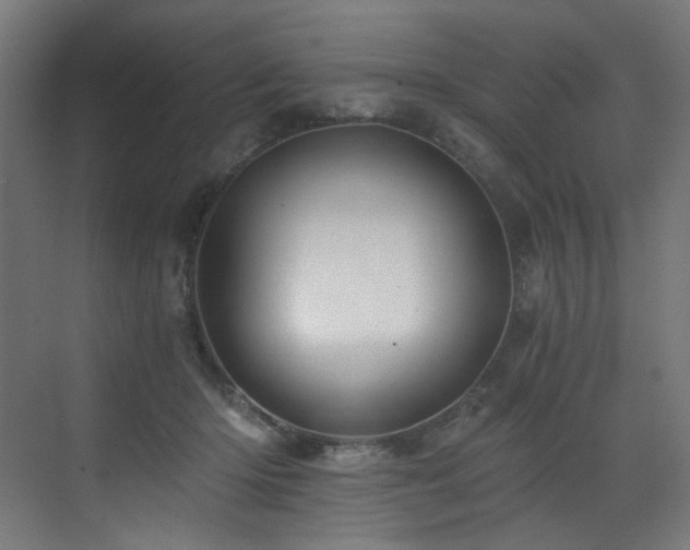 X0000072980414200607211254