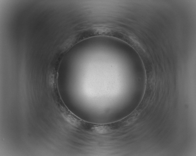 X0000072980417200607211254