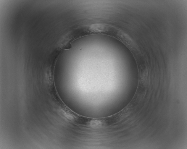 X0000072980418200607211254