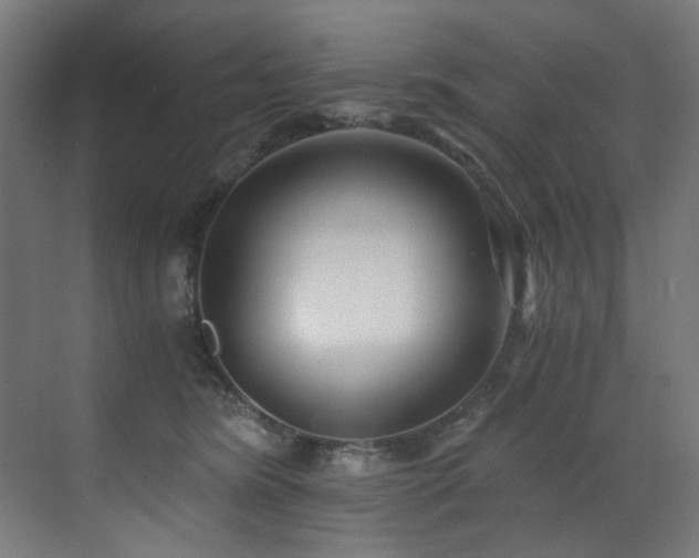 X0000072980420200607211254