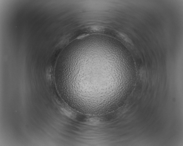 X0000072980423200607211254