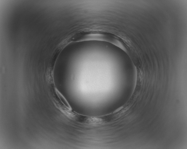X0000072980429200607211254