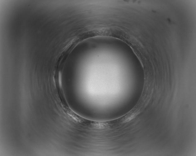 X0000072980432200607211254