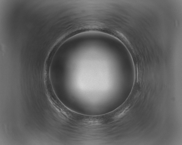 X0000072980435200607211253