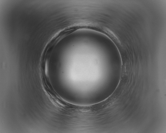 X0000072980436200607211253
