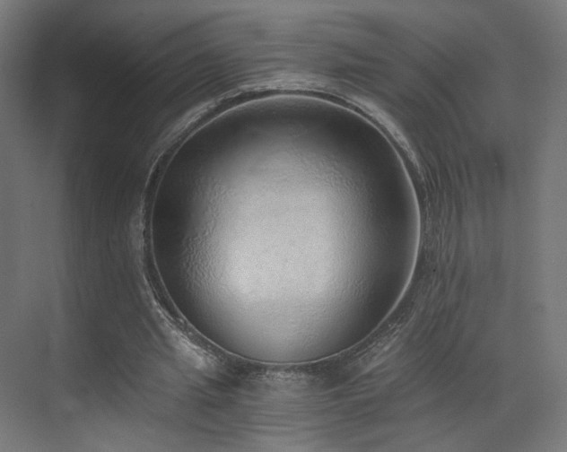 X0000072980437200607211253