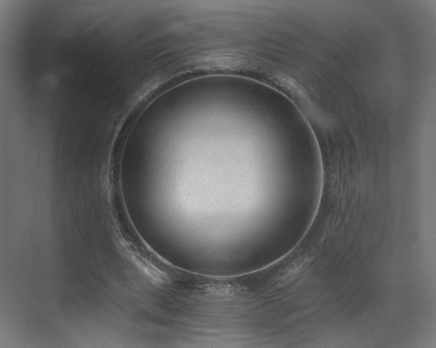 X0000072980439200607211253
