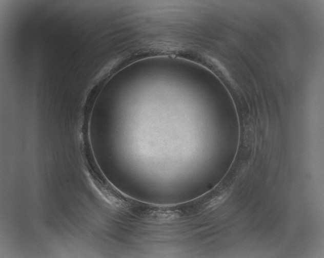 X0000072980443200607211253