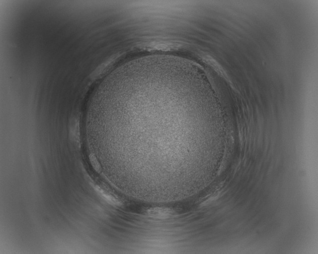 X0000072980444200607211253