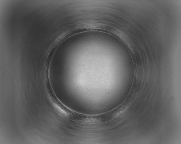 X0000072980445200607211253