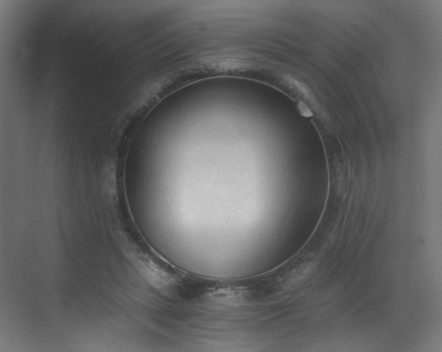 X0000072980447200607211253
