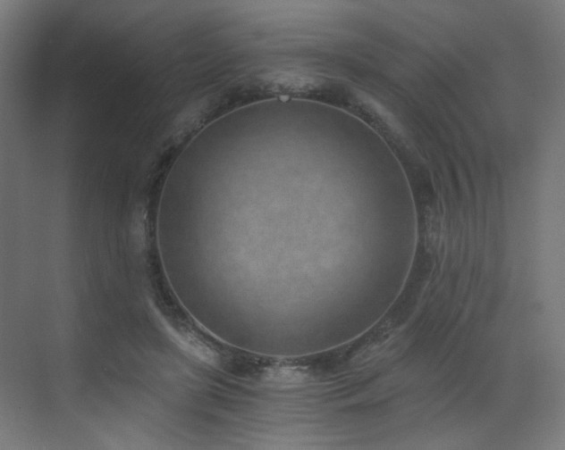 X0000072980451200607211253