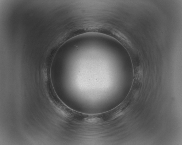 X0000072980452200607211253