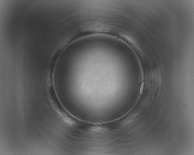 X0000072980453200607211254