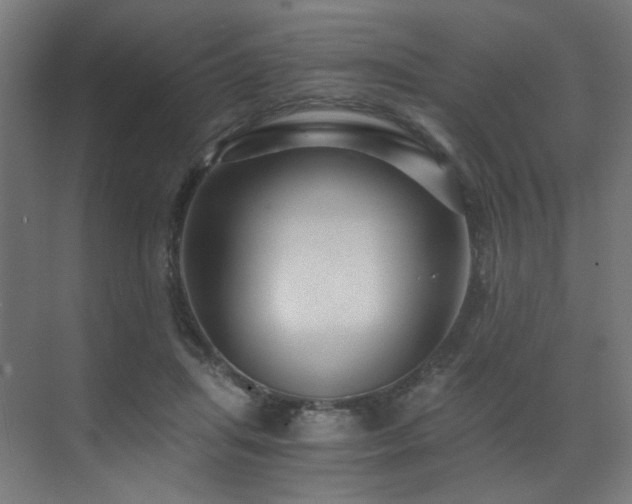 X0000072980455200607211254
