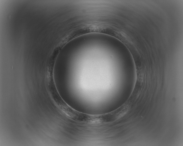 X0000072980456200607211254