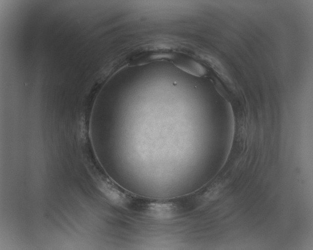 X0000072980457200607211254