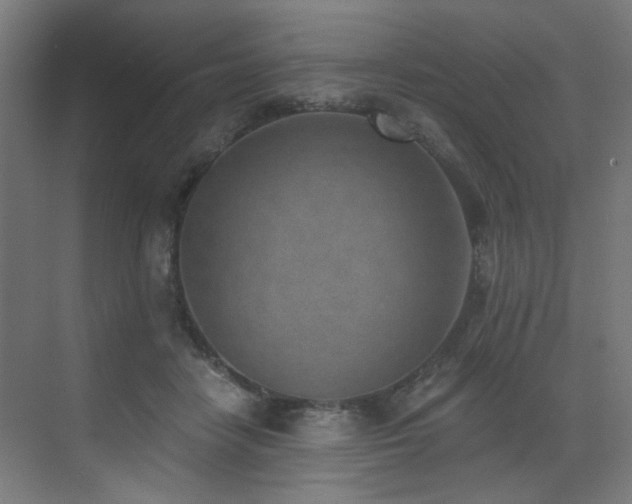 X0000072980458200607211254