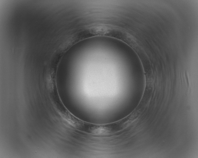 X0000072980460200607211254
